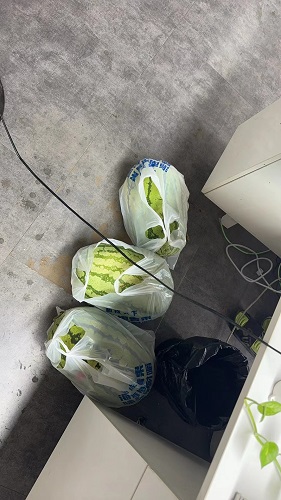 微信圖片_20240725160754.jpg 微信圖片_20240725160754.jpg